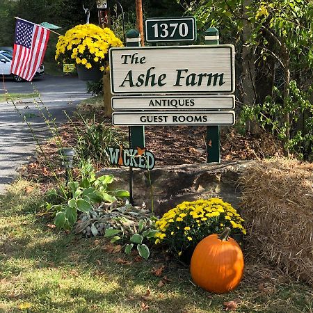 The Ashe Farm Bed & Breakfast Marshall Exterior photo